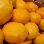 Cosa succede se un limone prende dimora nella credenza: la magia agrumata della freschezza cosa-succede-se-un-limone-prende-dimora-nella-credenza-la.jpg