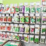 Come distinguere tra i semi truffaldini e quelli che cresceranno come-distinguere-tra-i-semi-truffaldini-e-quelli-che-cresceranno.jpg